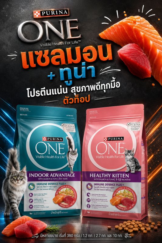 แมว