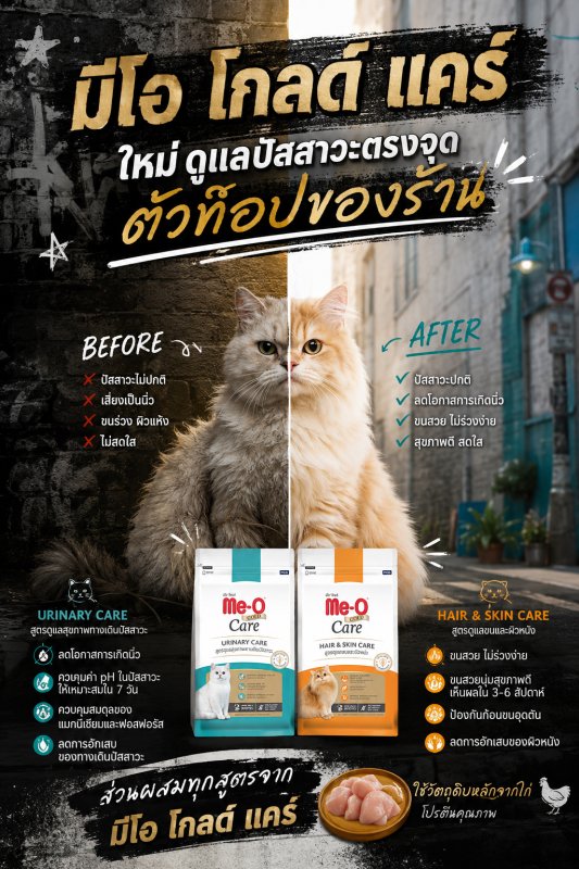 แมว