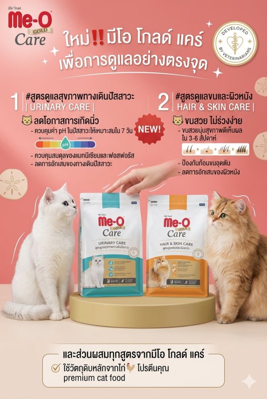 คนรักแมว
